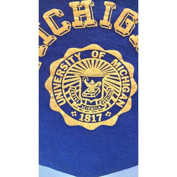Rare Vintage Michigan State University Wool Felt College Pendant Banner Flag - Picture 2 of 3